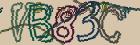Retype the CAPTCHA code from the image