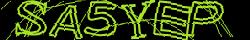 Retype the CAPTCHA code from the image