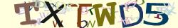 Retype the CAPTCHA code from the image