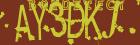 Retype the CAPTCHA code from the image