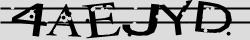 Retype the CAPTCHA code from the image