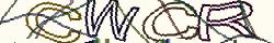 Retype the CAPTCHA code from the image