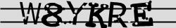 Retype the CAPTCHA code from the image