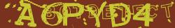 Retype the CAPTCHA code from the image
