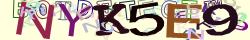 Retype the CAPTCHA code from the image