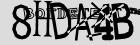 Retype the CAPTCHA code from the image