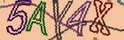 Retype the CAPTCHA code from the image