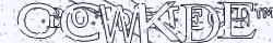 Retype the CAPTCHA code from the image