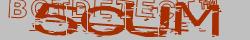 Retype the CAPTCHA code from the image