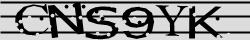Retype the CAPTCHA code from the image