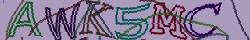 Retype the CAPTCHA code from the image