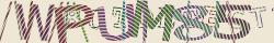 Retype the CAPTCHA code from the image
