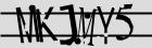 Retype the CAPTCHA code from the image
