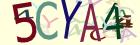 Retype the CAPTCHA code from the image