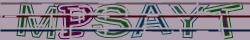 Retype the CAPTCHA code from the image