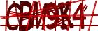 Retype the CAPTCHA code from the image