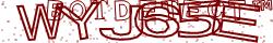 Retype the CAPTCHA code from the image