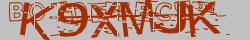 Retype the CAPTCHA code from the image