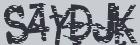 Retype the CAPTCHA code from the image