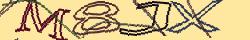 Retype the CAPTCHA code from the image