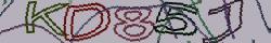Retype the CAPTCHA code from the image