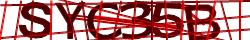 Retype the CAPTCHA code from the image