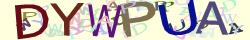 Retype the CAPTCHA code from the image