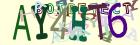 Retype the CAPTCHA code from the image