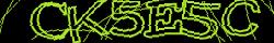 Retype the CAPTCHA code from the image