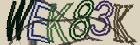 Retype the CAPTCHA code from the image