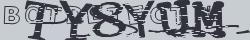 Retype the CAPTCHA code from the image