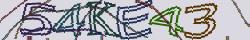 Retype the CAPTCHA code from the image