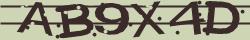 Retype the CAPTCHA code from the image
