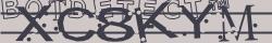 Retype the CAPTCHA code from the image