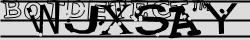 Retype the CAPTCHA code from the image