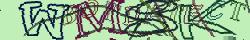 Retype the CAPTCHA code from the image