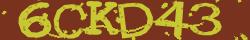 Retype the CAPTCHA code from the image