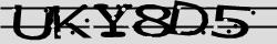 Retype the CAPTCHA code from the image
