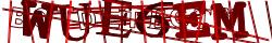 Retype the CAPTCHA code from the image